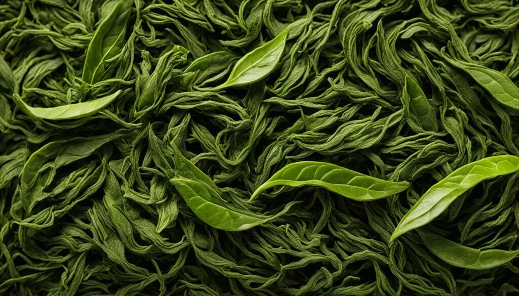 green tea and cholesterol management