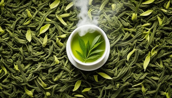 green tea vs white tea