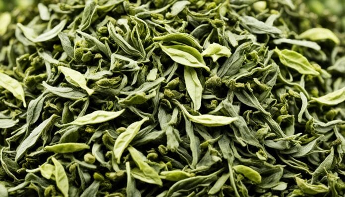 white tea vs green tea caffeine