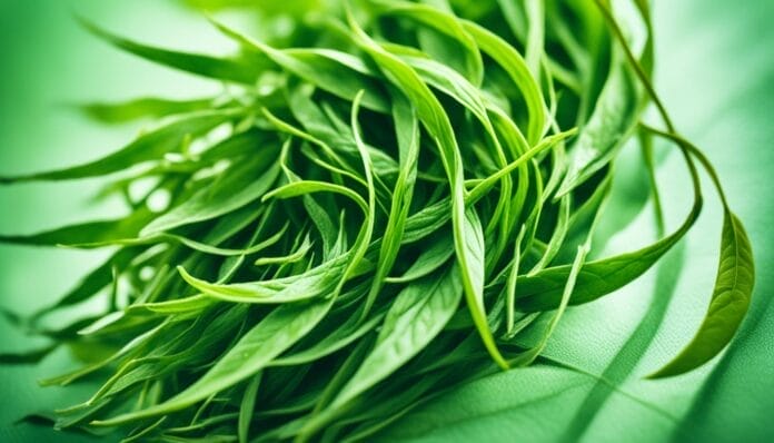 green tea hair loss